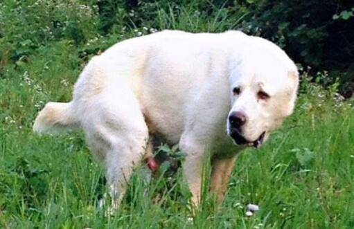 ��Ȯս��������������ʮ����Ȯ���а�