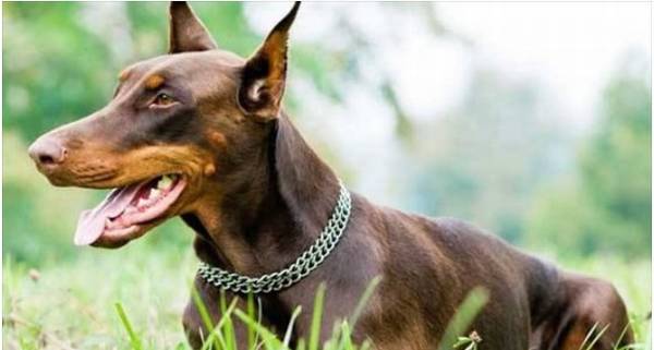 ����ű��ǽ���Ȯ��