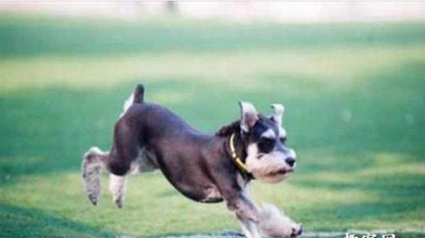 Ů��Ϊʲô��������ѩ����