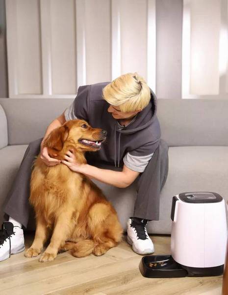 元宵节之后,究竟能否给狗狗吃甜滋滋汤团? 元宵节之后,究竟能否给狗狗吃甜滋滋汤团?