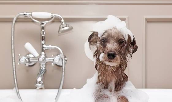 ̩����ɫ�����Ե�ʣ����˽�ö����