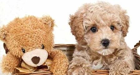 ̩����ɫ�����Ե�ʣ����˽�ö����