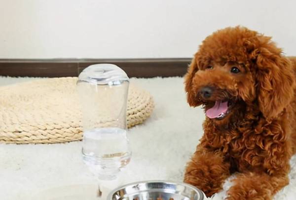 ̩����ɫ�����Ե�ʣ����˽�ö����