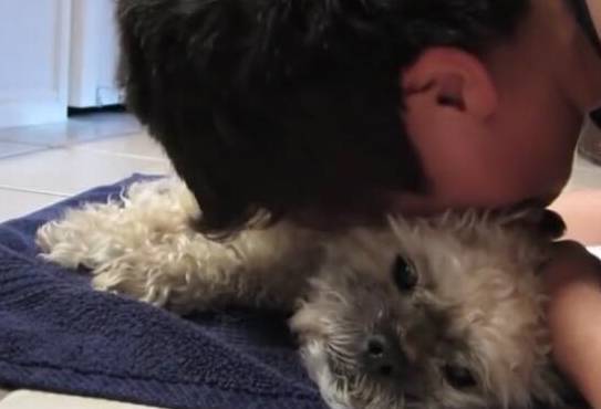 ����������ʹ�����е����״�����������غ����ˣ�