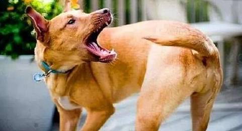 ����������ʹ�����е����״�����������غ����ˣ�