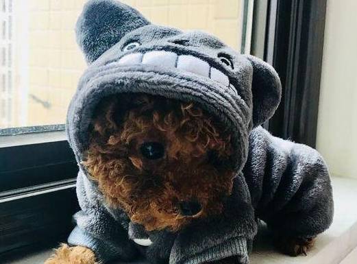 ����������ʹ�����е����״�����������غ����ˣ�