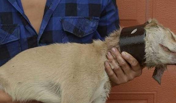 ����һ�����������Ҫ�򣬵��µ�6������Ӱ����ձ飬���������