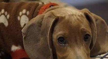 ����һ�����������Ҫ�򣬵��µ�6������Ӱ����ձ飬���������