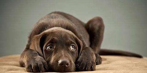 ����һ�����������Ҫ�򣬵��µ�6������Ӱ����ձ飬���������