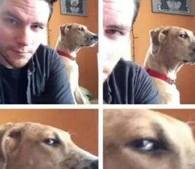 ����һ�����������Ҫ�򣬵��µ�6������Ӱ����ձ飬���������