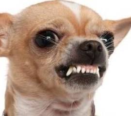 ����һ�����������Ҫ�򣬵��µ�6������Ӱ����ձ飬���������