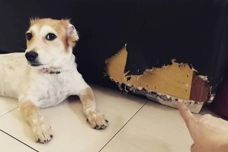 ����һ�����������Ҫ�򣬵��µ�6������Ӱ����ձ飬���������