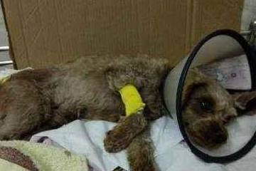 ����һ�����������Ҫ�򣬵��µ�6������Ӱ����ձ飬���������