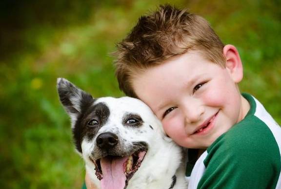 狗狗最想亲切的“5类人”已发布,看一下你有没有榜单呢? 狗狗最想亲切的“5类人”已发布,看一下你有没有榜单呢?