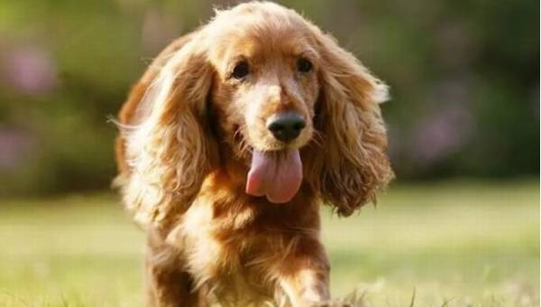 �ɿ�Ȯ��ɶ��ë��ô���ɿ�Ȯ��ë