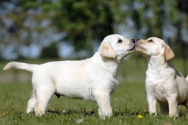 ����������˶����ж��ÿ����Сʱ��������