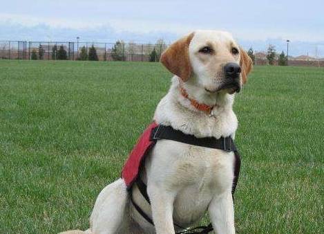 ����������˶����ж��ÿ����Сʱ��������