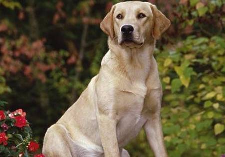 ����������˶����ж��ÿ����Сʱ��������