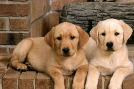 ����������˶����ж��ÿ����Сʱ��������