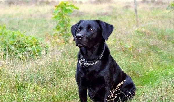 ����������˶����ж��ÿ����Сʱ��������