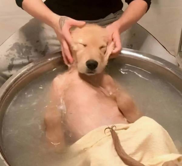 ������7��״��������ϴ�裬��ʺ��Ҫע���ˣ�