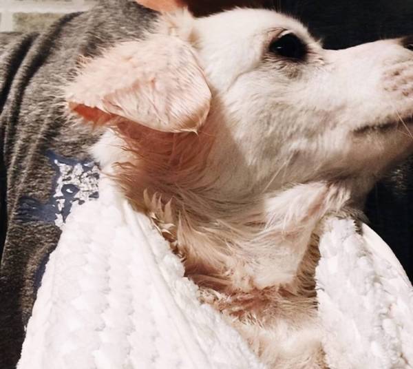 ������7��״��������ϴ�裬��ʺ��Ҫע���ˣ�