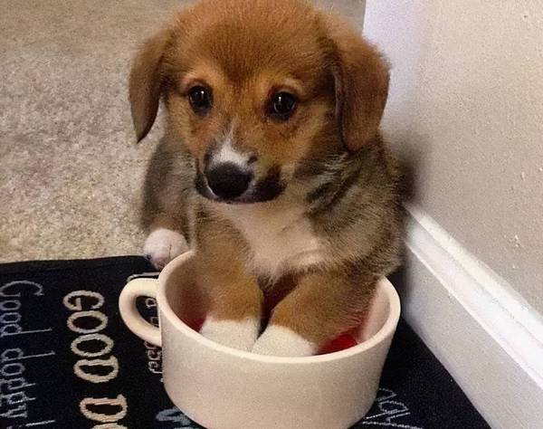 ������7��״��������ϴ�裬��ʺ��Ҫע���ˣ�