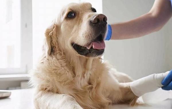 ������7��״��������ϴ�裬��ʺ��Ҫע���ˣ�