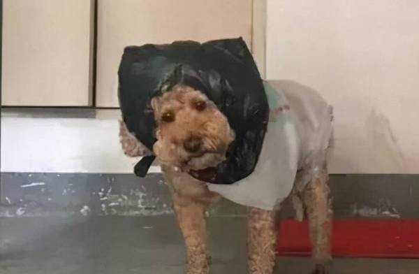 ������7��״��������ϴ�裬��ʺ��Ҫע���ˣ�