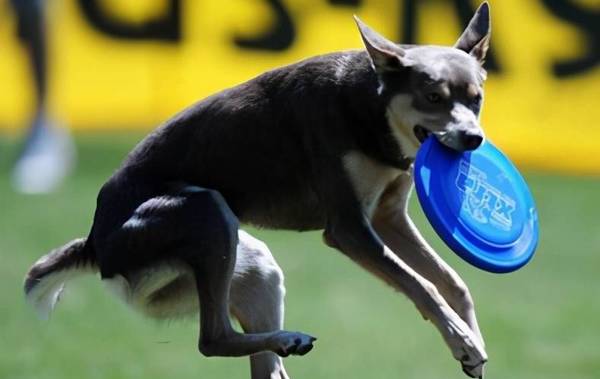 ������7��״��������ϴ�裬��ʺ��Ҫע���ˣ�