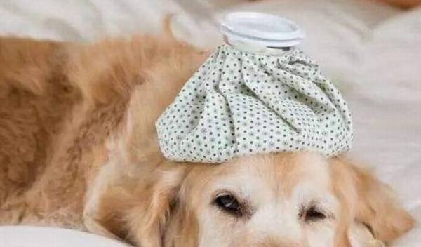 ������7��״��������ϴ�裬��ʺ��Ҫע���ˣ�