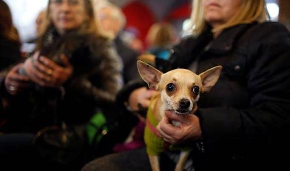 �������⼸��ˮ�����п��ܻᷢ������Ҫ��������ˮ��