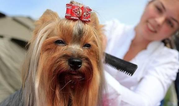 �������⼸��ˮ�����п��ܻᷢ������Ҫ��������ˮ��