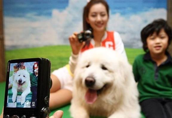 �������⼸��ˮ�����п��ܻᷢ������Ҫ��������ˮ��