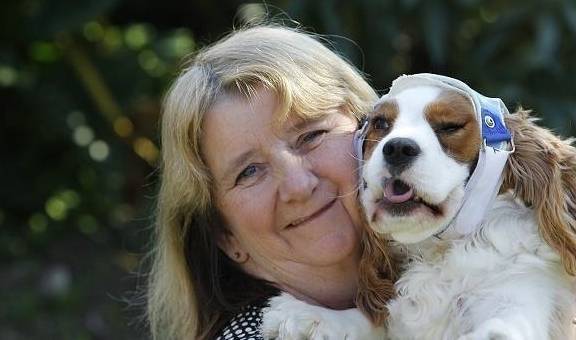 �������⼸��ˮ�����п��ܻᷢ������Ҫ��������ˮ��