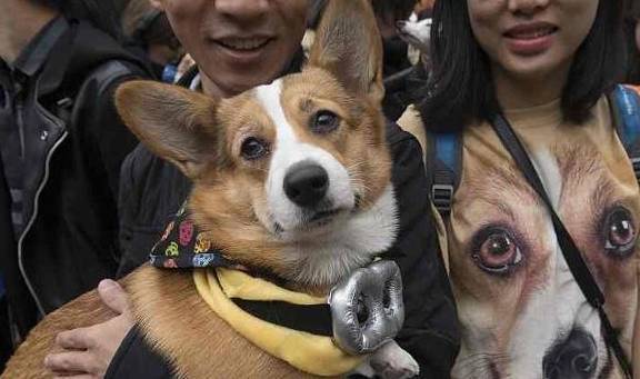 �������⼸��ˮ�����п��ܻᷢ������Ҫ��������ˮ��