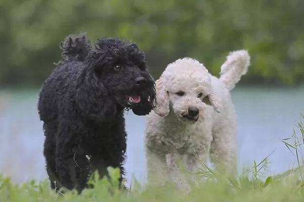 ����ë����ô����ɫ����Ȯһ��Ҫע��