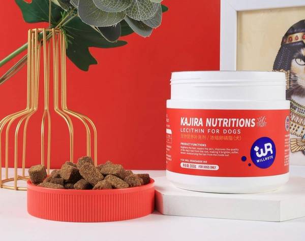 ����ë����ô����ɫ����Ȯһ��Ҫע��