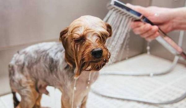 ��������ע�ض࣬�೤ʱ��ϴһ���������أ�