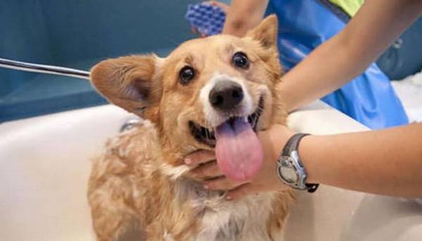 ��������ע�ض࣬�೤ʱ��ϴһ���������أ�