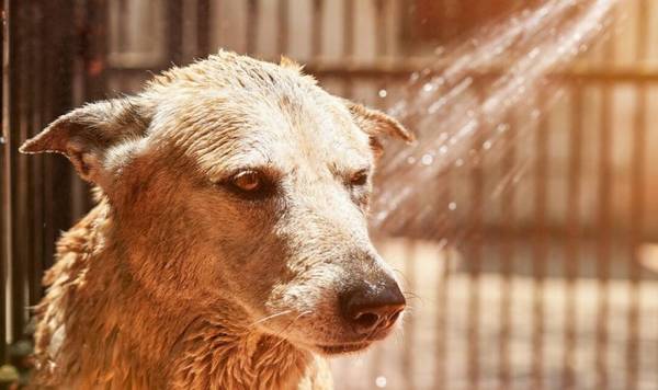 ��������ע�ض࣬�೤ʱ��ϴһ���������أ�