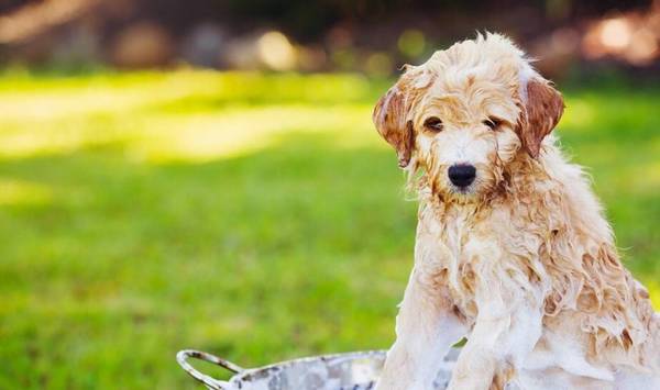 ��������ע�ض࣬�೤ʱ��ϴһ���������أ�