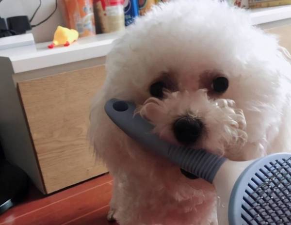 ��������ע�ض࣬�೤ʱ��ϴһ���������أ�