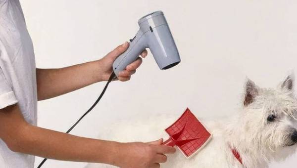 ��������ע�ض࣬�೤ʱ��ϴһ���������أ�