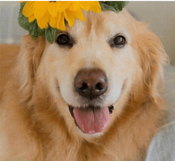 ë���ϳ��Ĺ���Ҫ��λ�����