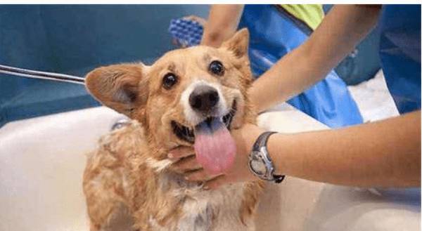 �������������ݻ����ļ��������Ϊ