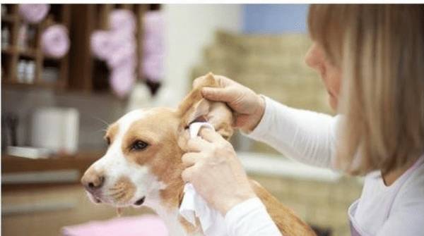 �����������˸���ô�죿��θ��������������أ�