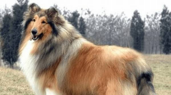 ����Ȯ��ô��ë��