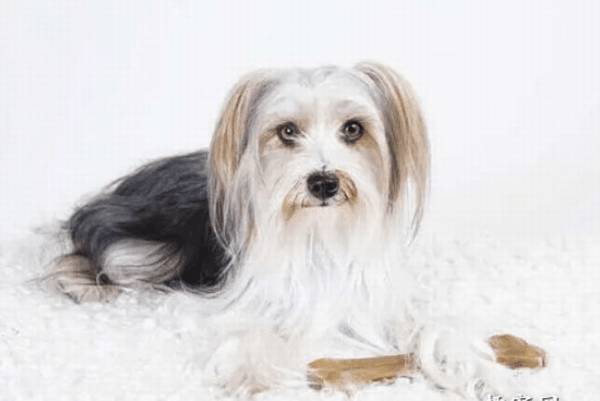 ����Ȯ��δ����źÿ�?