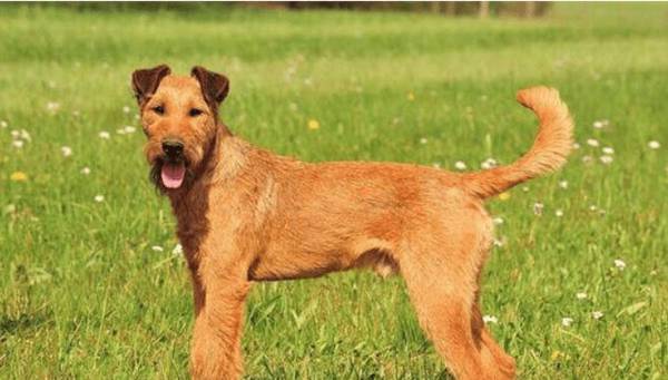 ��θ���������ϴ�裿����������ϴ�跽��